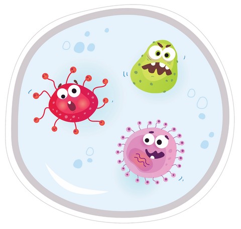 BBP germs1 1